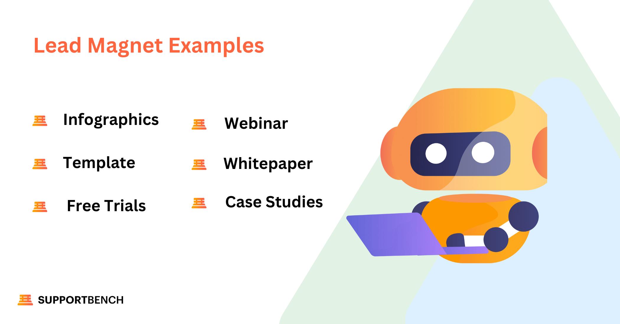 Lead Magnet Examples